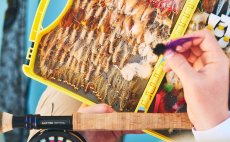 Fly Rod Guideline NT11 Saline - In Action