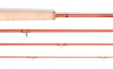 Fly Rod Scott F-Serie