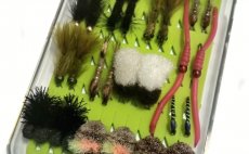 Summer Carp Stalkers - Fly Selection