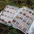 TOP River Tungsten Nymphs - Fly Selection
