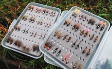 TOP River Tungsten Nymphs - Fly Selection