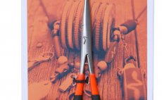 Forceps Guideline Spring Creek