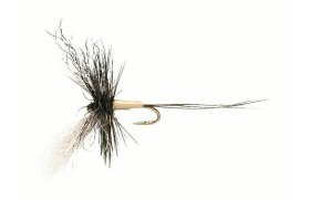 Goddard Poly Spinner Goddard Poly Spinner, Size 10