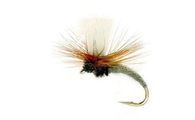 Klink Adams Grey Klink Adams Grey, Size 14