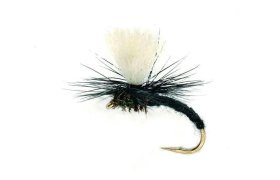 Klink Black Klink Black, Size 12