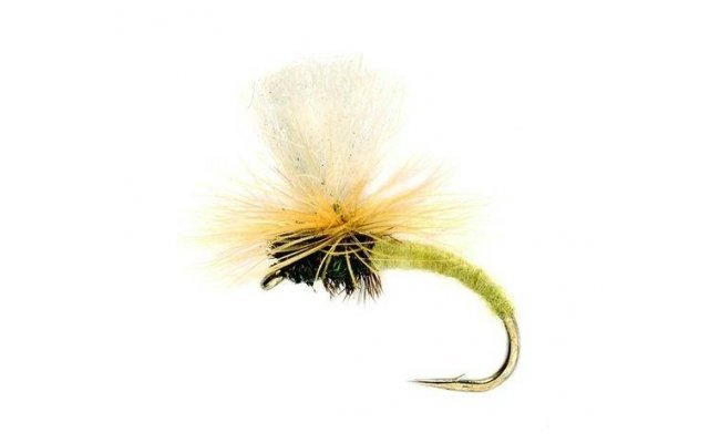 Klink Yellow Klink Yellow, Size 14