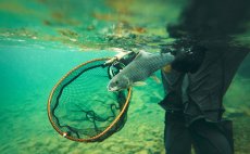 Landing Net Guideline Multi Grip PE-Mesh