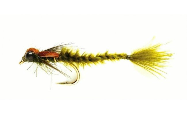 Living Damsel Dark Olive Living Damsel Dark Olive, Size 10