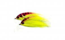 Magic Carpet Quill & Fly