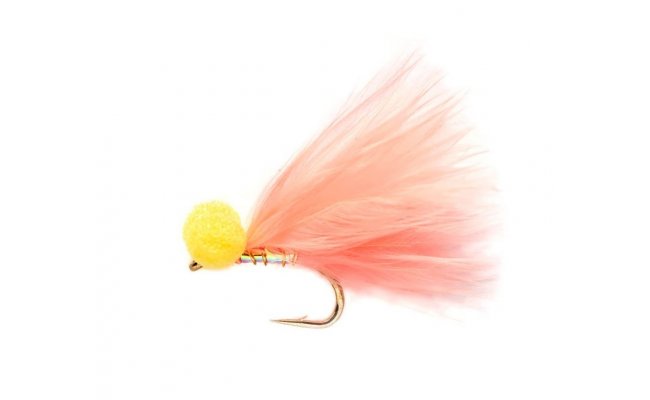 Micro Candy Floss Booby Micro Candy Floss Booby, Size 12
