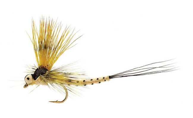Mohican Mayfly Mohican Mayfly, Size 10