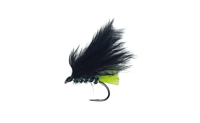 Peacock Body Viva B/L Peacock Body Viva B/L, Size 12