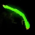 Phospho Chenille FlyBox