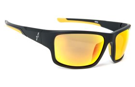 Polarised Glasses Guideline Experience ... Polarised Glasses Guideline Experience Yellow Lens