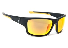 Polarised Glasses Guideline Experience ... Polarised Glasses Guideline Experience Yellow Lens