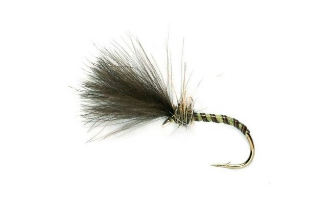 Quill Owl Cul Quill Owl Cul, Size 12
