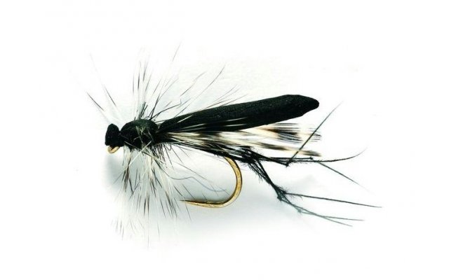 Real Daddy Black Real Daddy Black, Size 10