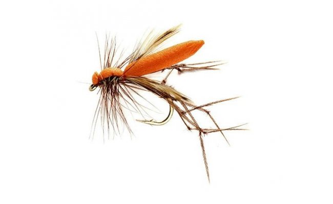 Real Daddy Orange Real Daddy Orange, Size 10