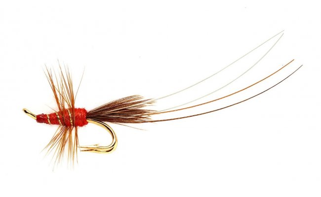 Red Frances Red Frances, Size 8
