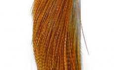 Rooster 1/2 Cape Whiting Bronze Grade