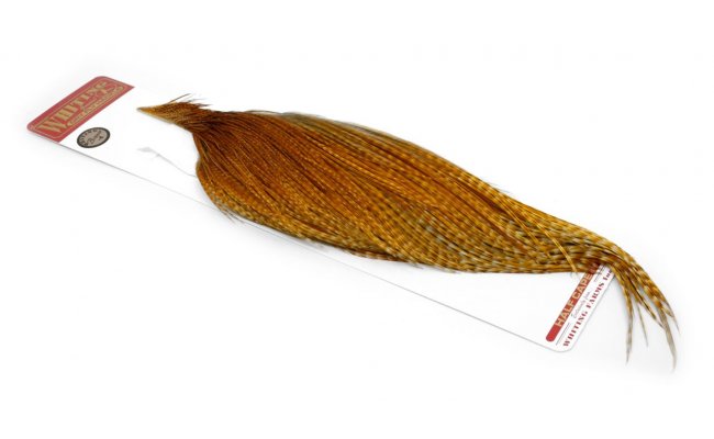 Rooster 1/2 Cape Whiting Bronze Grade Rooster 1/2 Cape Whiting Bronze Grade Barred Dark Ginger