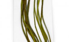 Rooster Hackles Whiting 100 Pack - Size 12