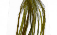 Rooster Hackles Whiting 100 Pack - Size 12