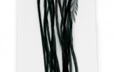 Rooster Hackles Whiting 100 Pack - Size 14