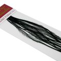 Rooster Hackles Whiting 100 Pack - Size 14