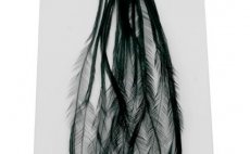 Rooster Hackles Whiting 100 Pack - Size 14