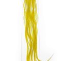 Rooster Hackles Whiting 100 Pack - Size 22