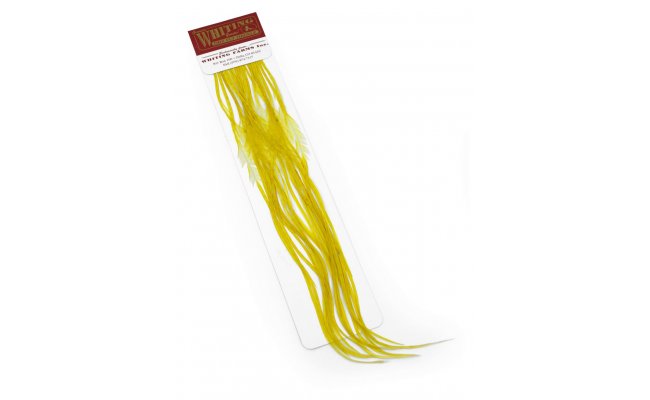 Rooster Hackles Whiting 100 Pack - Size 22 Rooster Hackles Whiting 100 Pack - Size 22 White Dyed Pale Morning Dun