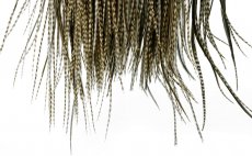 Rooster Saddle Whiting Hebert Miner Dry Fly Hackle Pro Grade