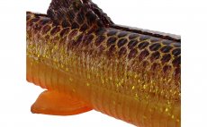 Rubber Lures Westin BullTeez Shadtail Gold Rush - Detail