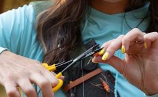 Scissor Forceps Loon Outdoors Hitch Pin - In Action