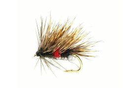 Sedgehog Bibio Sedgehog Bibio, Size 12