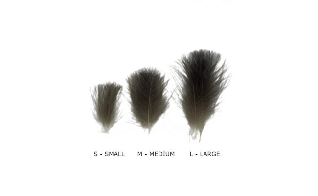 Selected CDC Quill & Fly 50 Pcs Natural Selected CDC Quill & Fly 50 Pcs Natural S