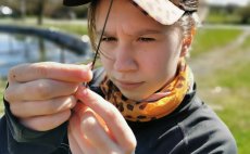 Snapback Cap Buff Original Bug Slinger Brown Trout