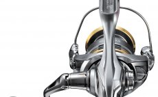 Spinning Reel Shimano Sedona FJ - Back Side