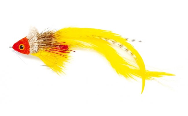 Swimming Red & Yellow Swimming Red & Yellow, Size 1/0