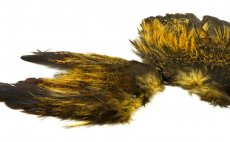 Coq de Leon Whiting Mayfly Tailing Pack