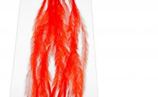 Rooster Hackles Whiting 100 Pack - Size 20