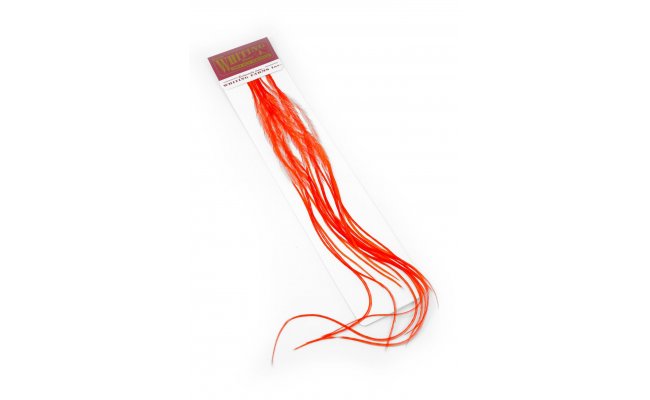 Rooster Hackles Whiting 100 Pack - Size 20 Rooster Hackles Whiting 100 Pack - Size 20 Hi Vis Orange
