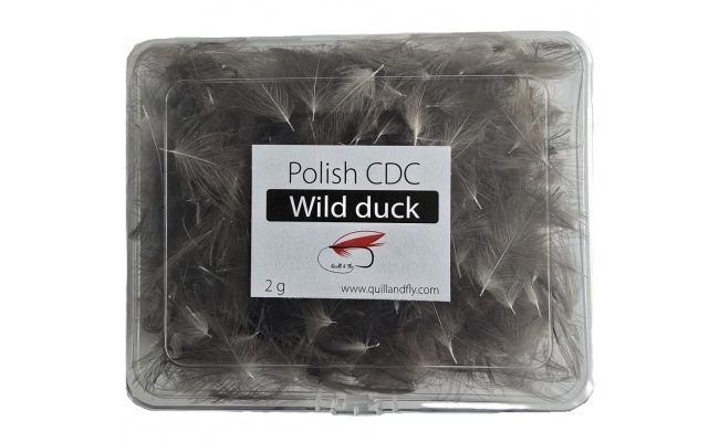 Wild Duck CDC Quill & Fly Bulk Pack 2g Box Wild Duck CDC Quill & Fly Bulk Pack 2g Box Natural