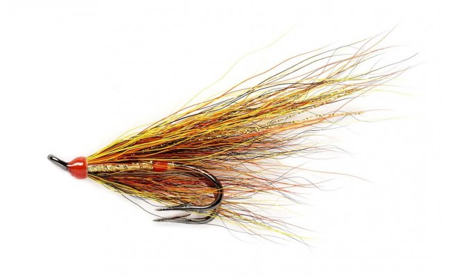 Willie Gunn Gold Willie Gunn Gold, Size 8