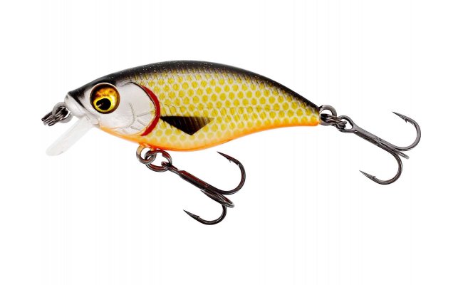 Wobbler Westin BuzzBite SR Crankbait Official Roach Wobbler Westin BuzzBite SR Crankbait Official Roach - 4 g; 4 cm