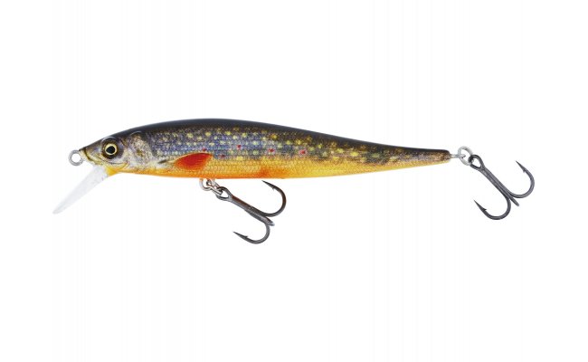Wobbler Westin Jerkbite SR Jerkbait Brook Trout Fry Wobbler Westin Jerkbite SR Jerkbait Brook Trout Fry - 5 g; 7.5 cm