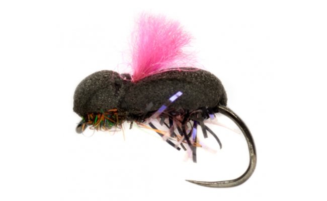 Procter's Target Beetle Pink B/L Procter's Target Beetle Pink B/L, Size 12