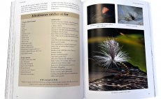 The KLINK - Preview The Book