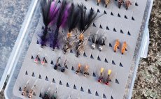 TOP Flies For Mountain Trout Streams - Fly Selection